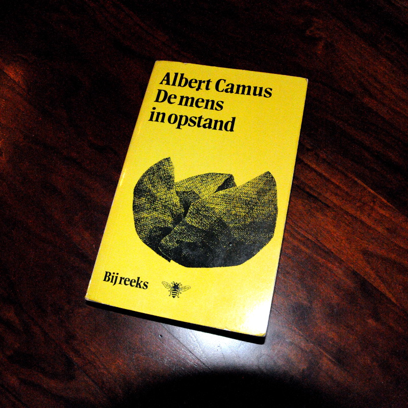 PIC_0010.B.800. (C) Ronald Puma