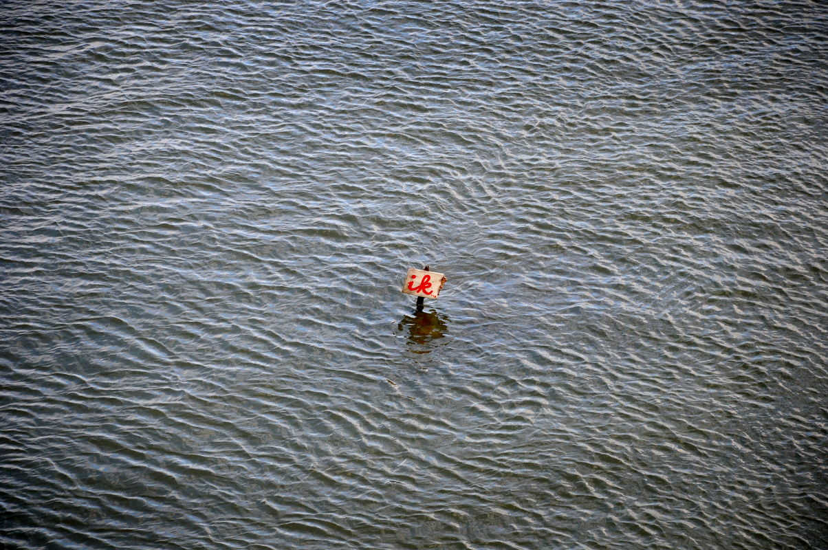 PIC_0005.B.800 (C) Ronald Puma