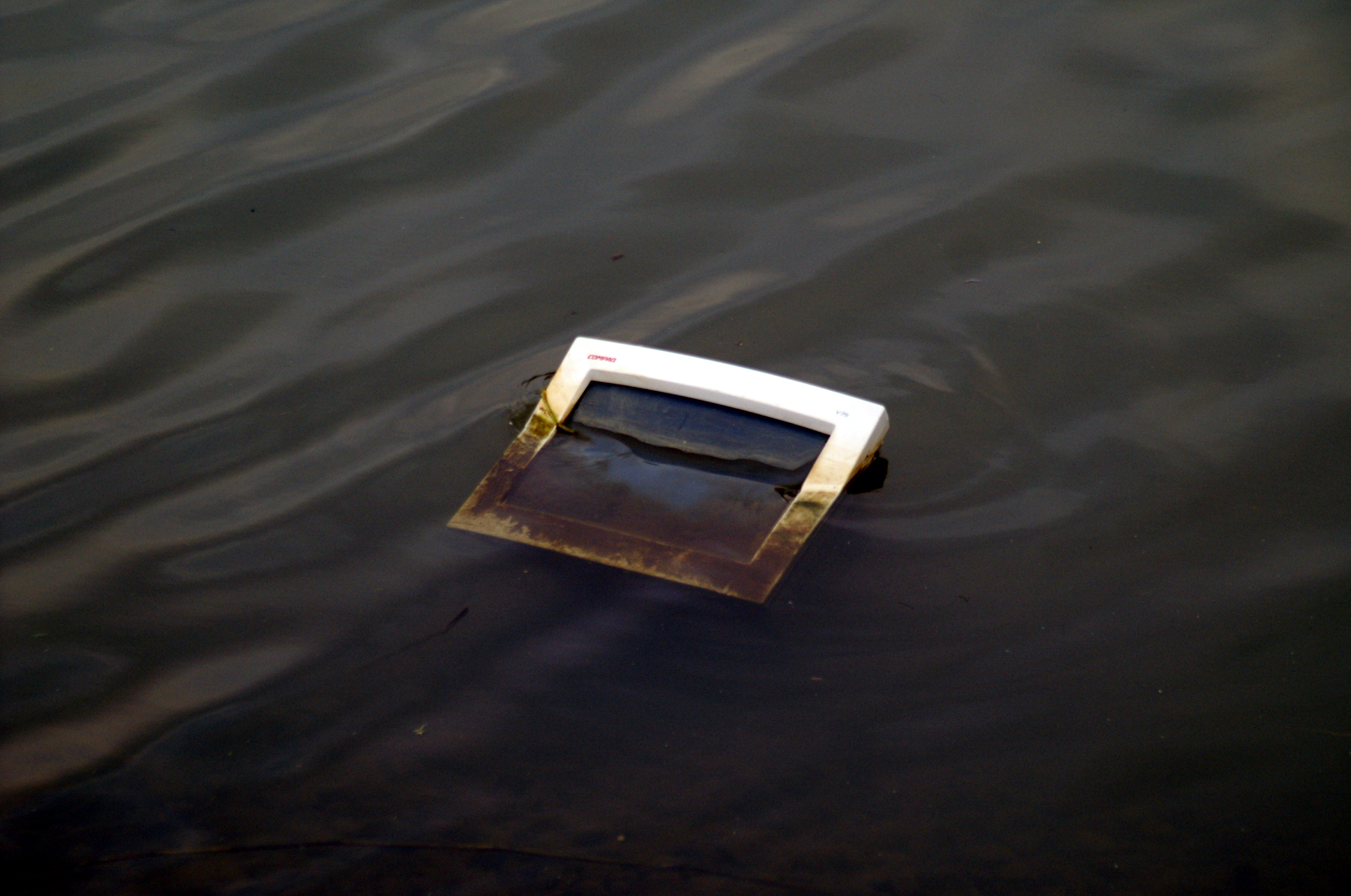 Alles is vergangkelijk (C) Ronald Puma