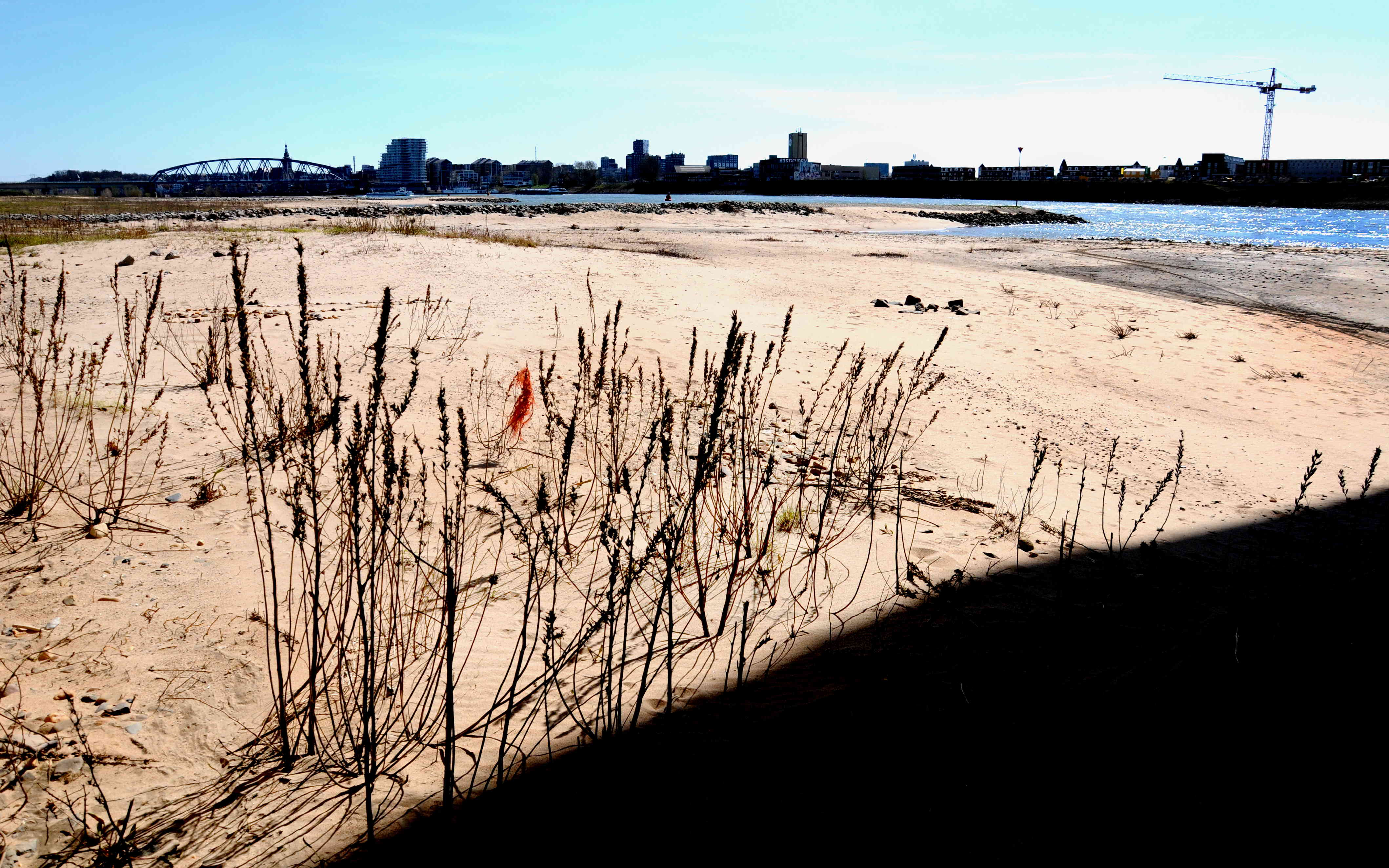 PIC_0007.2 (C) Ronald Puma